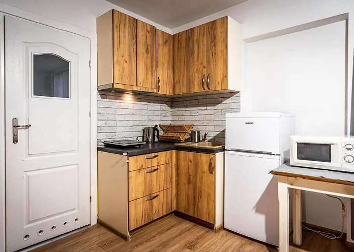 Cicha Woda Iii アパート ザコパネ